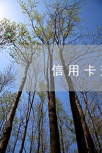 信用卡逾期 再贷款 信用卡逾期 再贷款